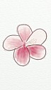 Flower_001.jpg: 720x1280, 225k (January 05, 2019, at 09:59 PM)
